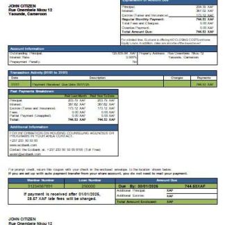 Cameroon Ecobank bank mortgage statement scr download template file