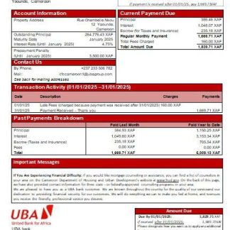 Cameroon UBA bank mortgage statement scr download template file