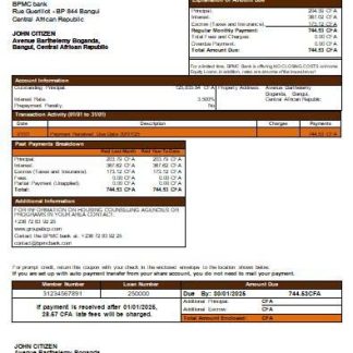 Central African Republic BPMC bank mortgage statement scr download template file