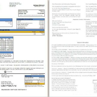 Egypt Al Ahli Bank of Kuwait bank mortgage statement, 2 pages, 1 2 scr download template file