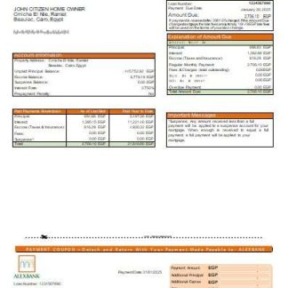 Egypt Alex Bank of Egypt bank mortgage statement scr download template file
