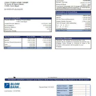 Egypt Blom Bank of Egypt bank mortgage statement scr download template file