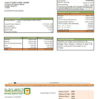 Egypt National Bank of Egypt bank mortgage statement scr download template file