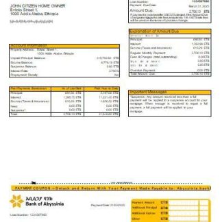 Ethiopia Bank of Abyssinia bank mortgage statement scr download template file