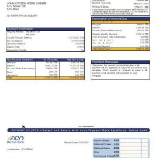 Ethiopia Berhan bank mortgage statement scr download template file