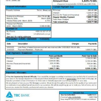 Georgia TBC Bank mortgage statement scr download template file
