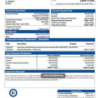 Kyrgyzstan Bakai Bank mortgage statement Word and PDF template download template file