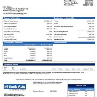 Kyrgyzstan Bank of Asia mortgage statement Word and PDF template download template file
