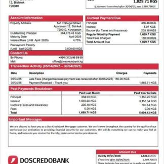 Kyrgyzstan Dos Credobank mortgage statement Word and PDF template download template file