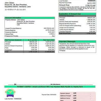 Laos Nayoby Bank mortgage statement Word and PDF template download template file