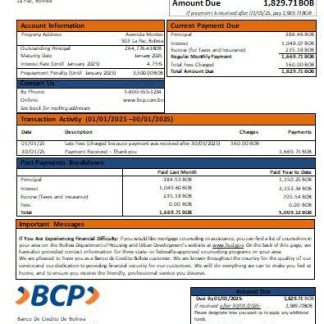 Banco de Credito Bolivia bank mortgage statement scr download template file