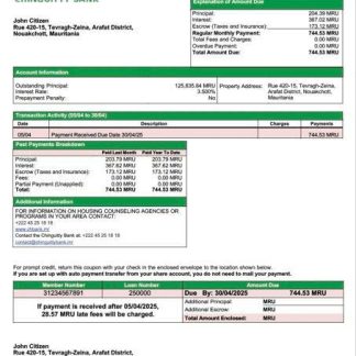 Mauritania Chinguitty Bank mortgage statement Word and PDF template download template file