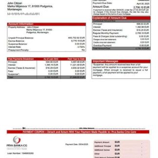 Montenegro Prva banka Crne Gore mortgage statement Word and PDF template download template file