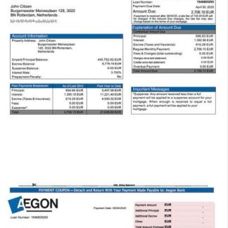 Netherlands Aegon Bank mortgage statement Word and PDF template download template file
