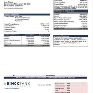 Netherlands BinckBank mortgage statement Word and PDF template download template file