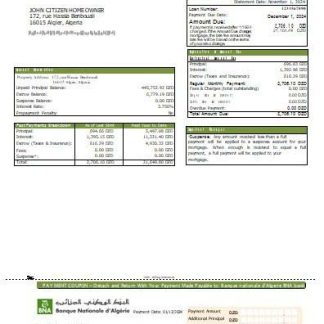 Algeria Banque nationale d'Algerie (BNA) bank mortgage statement scr download template file