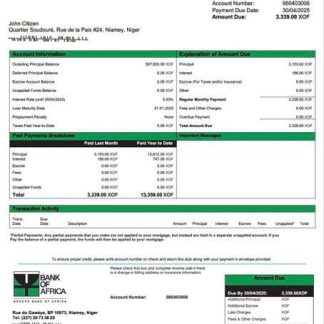 Niger Bank of Africa mortgage statement Word and PDF template download template file
