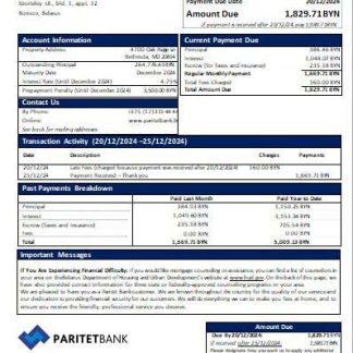 Belarus Paritet bank mortgage statement scr download template file