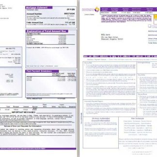 Algeria BDL bank mortgage statement, 3 pages 1 2 scr download template file