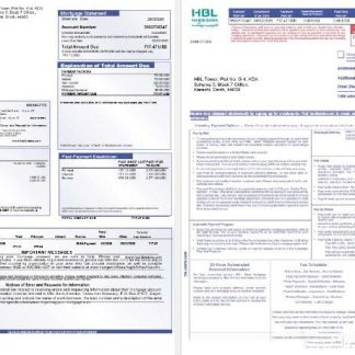 Pakistan Habib mortgage statement in Word and PDF formats, 3 pages 1 2 download template file