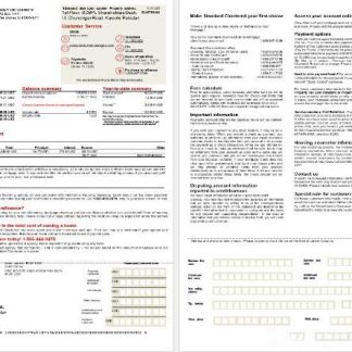 Pakistan Standard Chartered mortgage statement in Word and PDF formats, 2 pages download template file
