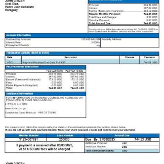 Paraguay BBVA bank mortgage statement in Word and PDF formats download template file