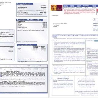 Poland Alior mortgage statement in Word and PDF formats 1 2 download template file