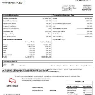 Poland Bank Pekao S.A mortgage statement in Word and PDF formats download template file