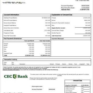 Romania CEC bank mortgage statement in Word and PDF formats download template file
