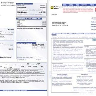 Romania Raiffeisen bank mortgage statement in Word and PDF formats 1 2 download template file