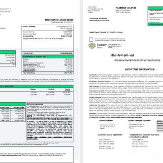 Russia Tinkoff mortgage statement in Word and PDF formats 1 2 download template file
