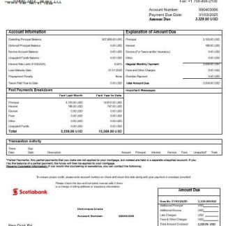 Saint Lucia Scotiabank mortgage statement in Word and PDF formats download template file