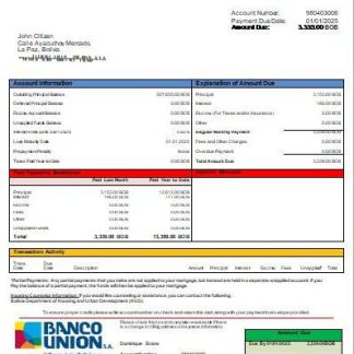 Bolivia Banco Union bank mortgage statement scr download template file