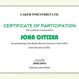 USA Modern Participation cert download template file