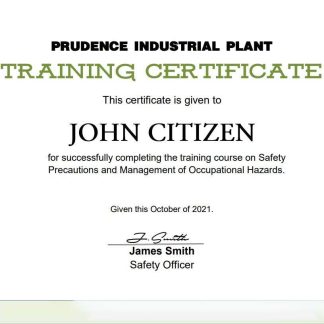 USA Training certificate template in Word and PDF format, version 2 download template file