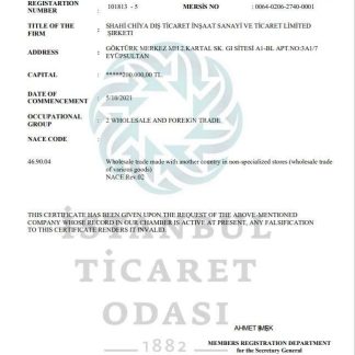 Turkey Istanbul Certificate of Activity template in Word and PDF format download template file