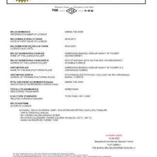 Turkey Turkish Standard Institution certificate of comformity to turkish standards Word and PDF template scr download template file