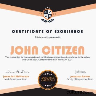 USA Academic Certificate download template file