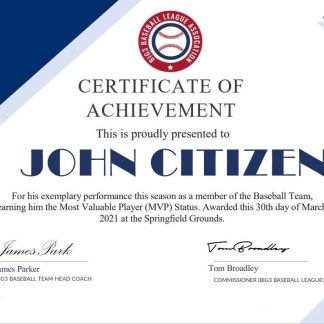 USA Basketball Participation Certificate download template file