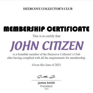 USA Company Experience Cert download template file