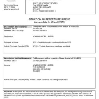 France INSEE registration certificate Word and PDF template download template file