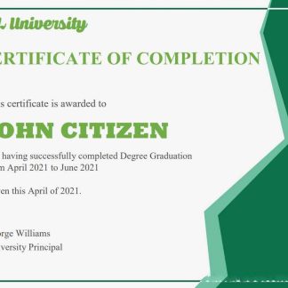 USA Completion Certificate template in Word and PDF format download template file