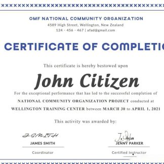 USA Computer Diploma Certificate template in Word and PDF format download template file