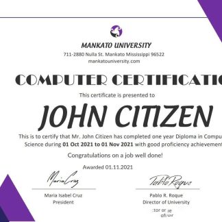 USA Computer Training certificate template in Word and PDF format download template file