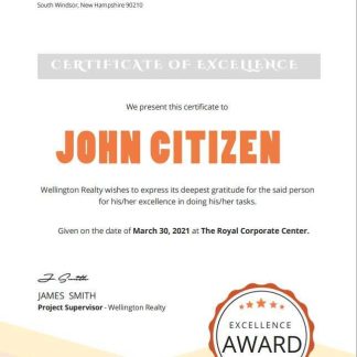 USA Car Workshop Experience Certificate template in Word and PDF format download template file
