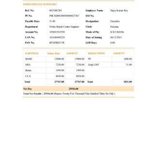 ADP earnings statement template in Word and PDF formats.pdf, 1 download template file