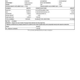 CIT TRUCKS earnings statement template in Word and PDF formats.pdf, 1 download template file