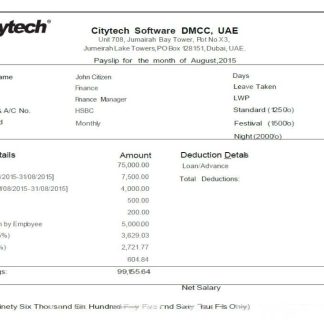 CitiusTech Healthcare Technology payslip template in Word and PDF formats.pdf, 1 download template file