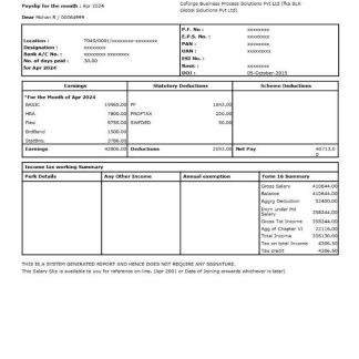 cloud storage paystub template in Word and PDf formats download template file
