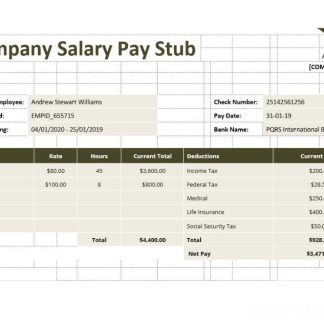 company Pay StubTemplate, version 2 download template file